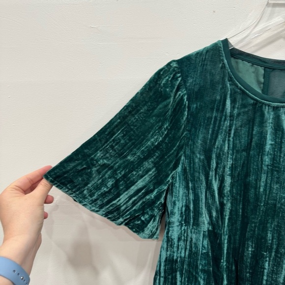 Anthropologie Maeve Emegald Green Velvet Chiffon Mesh Back Flowy Top Blouse M - Picture 2 of 5